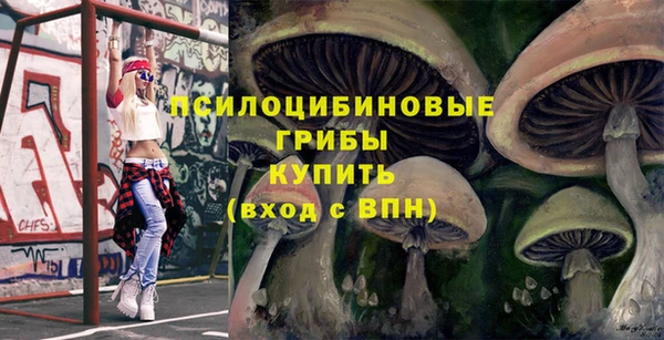 гидропоника Богородицк